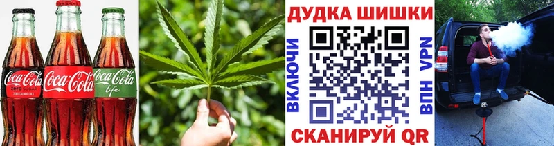 купить   Купино  Canna-Cookies конопля 