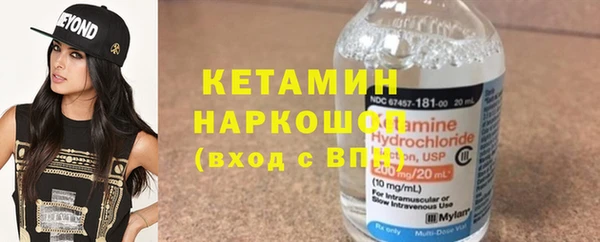 индика Беломорск