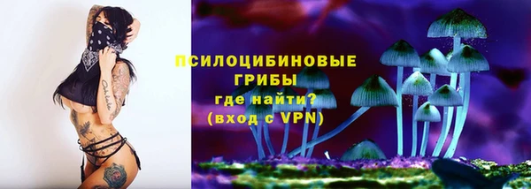 индика Беломорск
