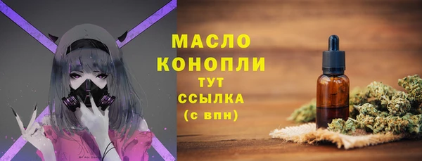 индика Беломорск