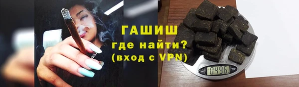 индика Беломорск