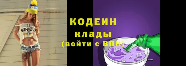 индика Беломорск