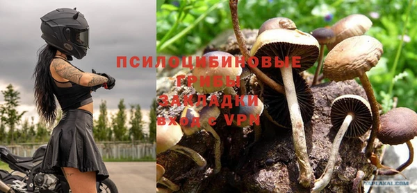 индика Беломорск