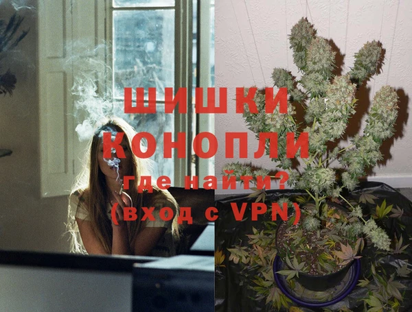 индика Беломорск