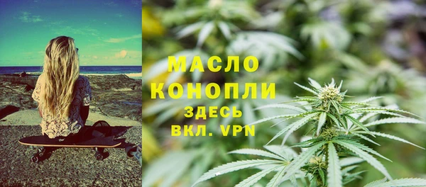 индика Беломорск