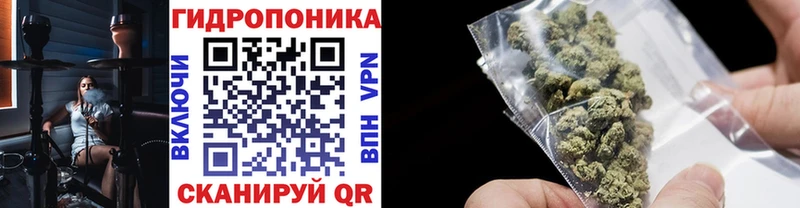 где купить наркоту  Купино  Шишки марихуана THC 21% 